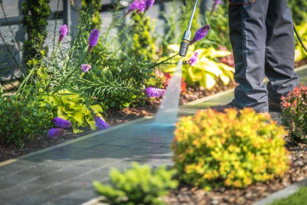 Best Winterizing Services  in Leesport, PA